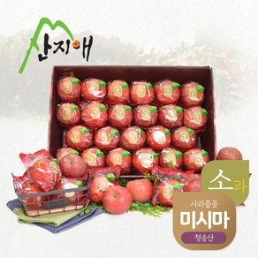 산지애 씻어나온 어린이 꿀사과 5kg 1box 봉지 세척사과 당도선별 12bix, 1개