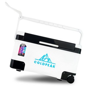 라스원 COLDPEAK 낚시용 캠핑용 아이스박스 30L, 단품