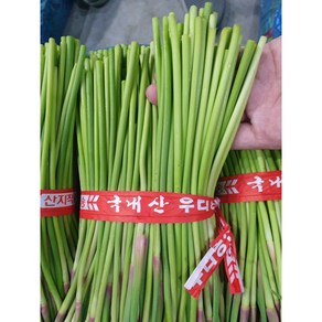 국내산 창녕 마늘쫑 부드러운 햇마늘쫑, 1개, 2kg