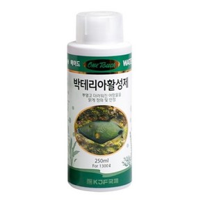 팝아쿠아 원터치 박테리아활성제 (250ml), 250ml, 1개