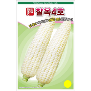 옥수수씨앗) 찰옥4호(700g) S2596, 1개