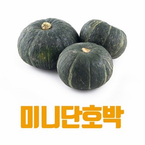 [산지직송] 국내산 미니단호박 밤 단호박 보우짱 달콤, 1박스, 미니단호박 2kg(4-10개)