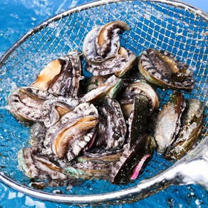 완도 활전복 1kg 꼬마 미니 선물 전복 산소포장, 1개, 활전복 1KG [40미 내외]