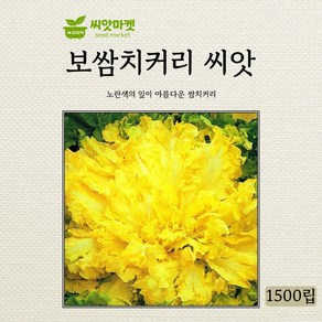 아시아종묘 씨앗 치커리 보쌈치커리 1500립, 1개