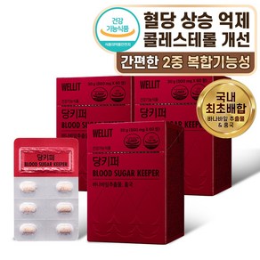 웰릿 당키퍼 바나바잎 추출물 홍국 30g