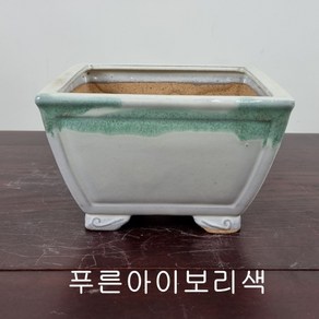 21. 손바닥정원 사각현애(중) 분재화분 승전분, 주황색, 1개