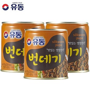 유동 번데기 통조림 280g X3개, 3개