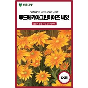 산들마켓 루드베키아 그린아이즈 꽃씨앗 100립 노란 꽃이 아름답게 돋보이는 일년생 꽃씨 종자, 1개