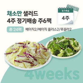 [포켓샐러드] 채소만 샐러드 4주 정기배송 (베이직2+베이직 플러스2+루꼴라2)