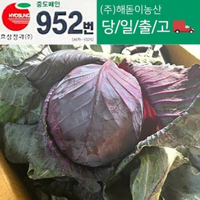 해돋이 농산 국내산 적채 (적양배추) 적색양배추 8kg내외