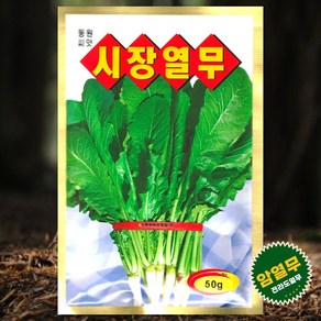 열무씨앗 잎이 부드러운 전라도 암열무 시장열무씨앗 50g, 1개