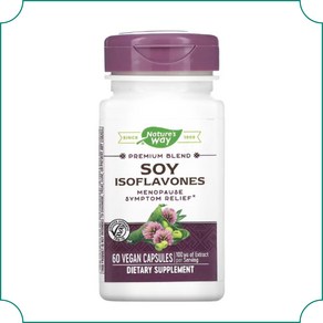 네이처스웨이 소이 대두 이소플라본 레드클로버 Soy Isoflavones 100mg 60 베지캡슐, 60정, 1개