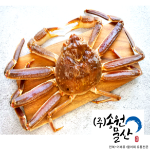 [송원물산] 수율 90%이상 보장 특A급 프리미엄 러시아 자숙대게 1kg, 1개, 두마리