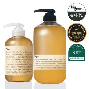 빅그린 탈모 카렌듈라 샴푸 500ml+1000ml/ 지성 두피, 2개