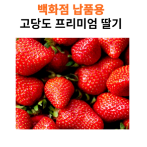 백화점 납품용 프리미엄 딸기 설향 750g 고당도, 1개, 24구