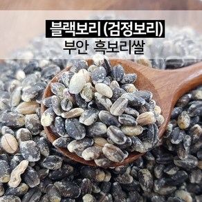 진도장모와서울큰사위 흑보리 검정보리 블랙보리 쌀 500g 햅곡, 1개