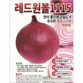 아시아종묘 씨앗 적양파 레드원볼1115 2.5g, 1개