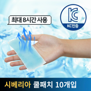 르틸리테 이마 아이스패치 쿨패치 냉각시트 쿨링패치