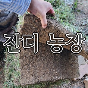 행복한정원 롤잔디 40*60, 1개