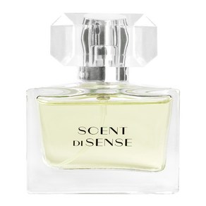 센트디센스 퍼퓸 향수 5종, [A05] 레이디오브파리, 1개, 30ml