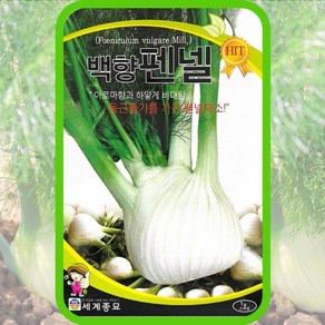 펜넬씨앗 회향 1g 휀넬 산미나리 종자 다이어트채소 허브씨 fennel seed, 1개