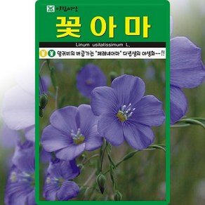 아람종묘 꽃아마 씨앗 200립 페레네아마 씨 페네리늄 꽃 종자, 1개