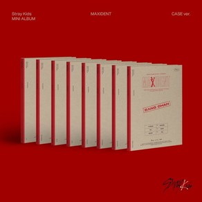 Stray Kids - MAXIDENT (CASE ver.) 버전 랜덤발송