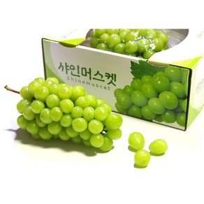 산지직송 고당도 샤인머스켓 망고포도 추석선물 명절선물, 특가)김천 샤인머스캣 2kg(3-4수), 1개