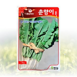 농사친구 춘향이열무 씨앗 30g 팜한농 씨 종자 김장 배추 무 항암, 1개