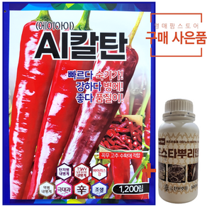 AI칼탄 고추씨앗 종자 1200립 (+포스타뿌리엔) 현대종묘, 1개