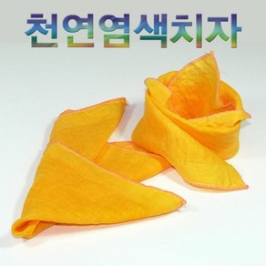 치자 천연염색(10인용)