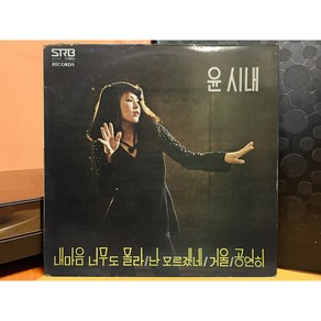 윤시내 - 내마음 너무도 몰라 LP (음반 EX 자켓 EX)