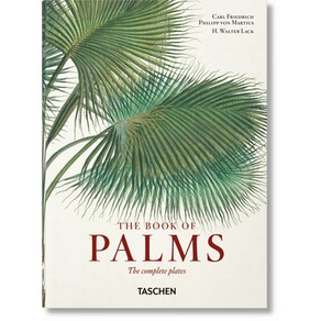 (영문도서) Matius. the Book of Palms. 40th Ed. Hadcove, Taschen, English, 9783836587815