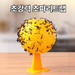 벤가디 완전박멸 초파리 트랩 날파리 나방파리 끈끈이, 1세트, 3개입