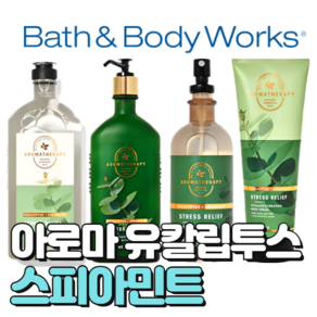 배스앤바디웍스 BBW 향기로운 아로마 유칼립투스 스피아민트, 오일미스트, 1개, 126ml