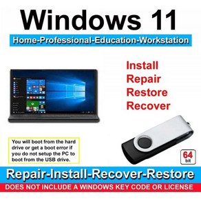 호환되는 Windows 11 Home Professional Education Workstation 64비트 복구 설치 및 복원 USB 플래시 드라이브 UEFI BIOS용