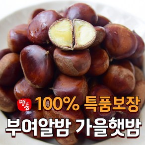 [특선별] 2024 햇밤 국산 부여 알밤 생 왕밤, 1개, 3kg