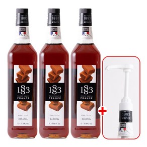 1883 카라멜 시럽 1000ml 3개 +1883 범용 시럽 펌프 화이트 1개 세트, 1L