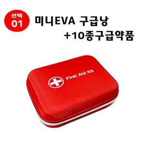 우리집 안전 지킴이 바이오플러스 구급낭 구급가방 응급키트 구급함 구급상자