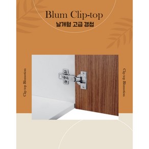 blum 블룸 가구 도어 문 무소음 날개형 경첩 힌지 107도 화성몰, 댐퍼형, 18T, 1개