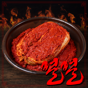 얼 전라도 실비 배추김치 [HACCP], 1개, 900g