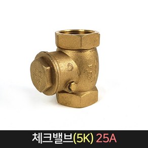 황동 체크밸브 5K 25A / 스윙 체크 역류방지 밸브, 1개