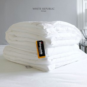 3M Thinsulate Duvet 3M 신슐레이트 이불솜 S SS Q K (여름/사계절솜/겨울솜), Exta Wam K (250x230)