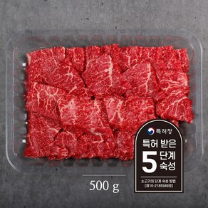 명품한우금오 1등급 한우 치마살 500g, 1개