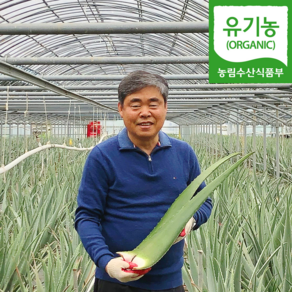 (자연마을) 유기농 거제 식용 생알로에 베라 3kg 5kg, 1개