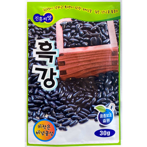 흑강 콩씨앗 검정강낭콩 무지주재배 비덩쿨 30g, 1개