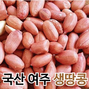 국산 볶음땅콩 햇 땅콩 생땅콩 껍질 고소한 여주땅콩 1kg, 생땅콩 1kg, 1개