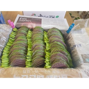 [GAP인증]도레미마켓 밀양깻잎 찹찹이 500g 산지직송 전문농장 당일수확, 깻잎500g, 1개