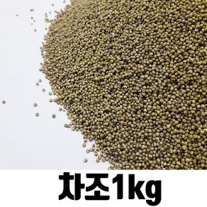 밥보야 수입 차조 청차조 1kg, 1개