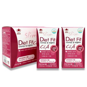 다이어트 핏 씨엘에이 360캡슐 6개월분 Diet fit CLA, 1개, 360정